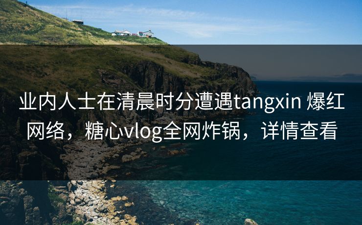 业内人士在清晨时分遭遇tangxin 爆红网络，糖心vlog全网炸锅，详情查看