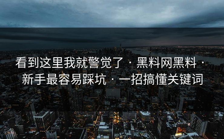 看到这里我就警觉了 · 黑料网黑料 · 新手最容易踩坑 · 一招搞懂关键词